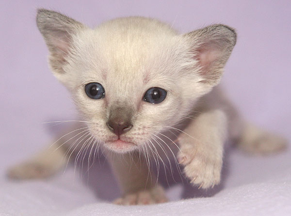 Photo: Carolin Skirl