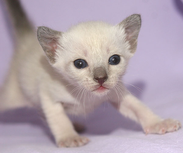 Photo: Carolin Skirl