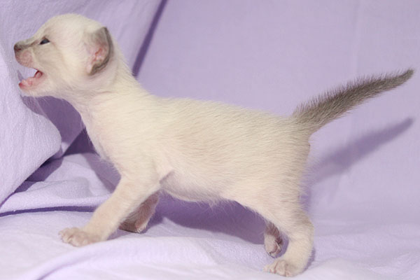 Photo: Carolin Skirl