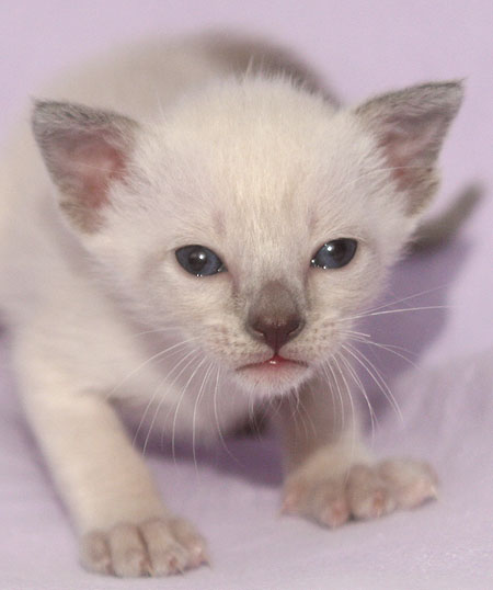 Photo: Carolin Skirl