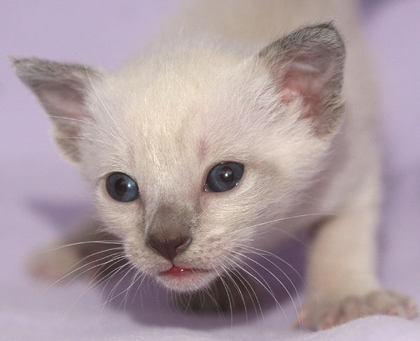 Photo: Carolin Skirl