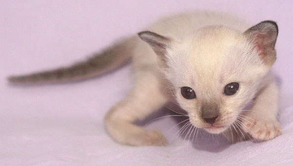 Photo: Carolin Skirl