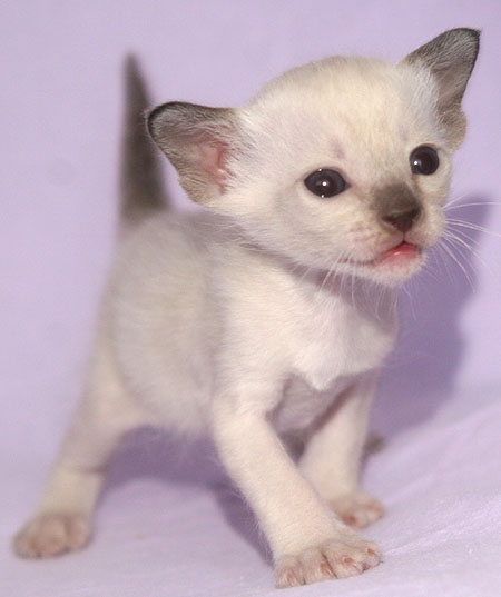 Photo: Carolin Skirl