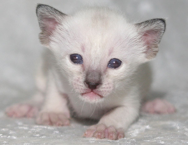 Photo: Carolin Skirl