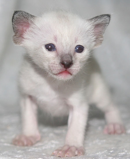 Photo: Carolin Skirl