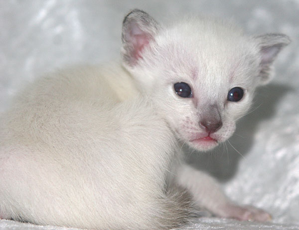 Photo: Carolin Skirl