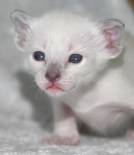 Photo: Carolin Skirl