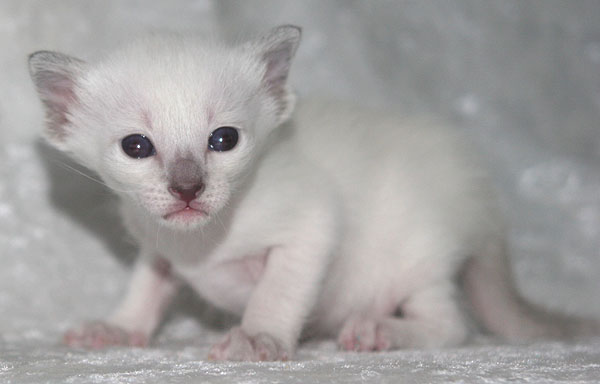 Photo: Carolin Skirl