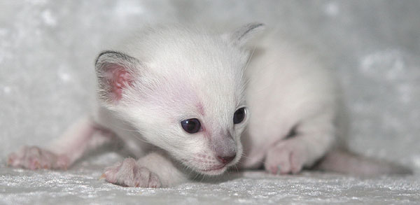 Photo: Carolin Skirl