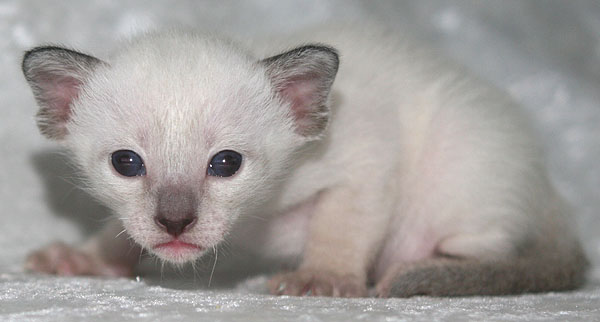 Photo: Carolin Skirl