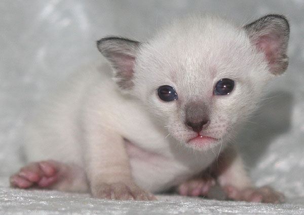 Photo: Carolin Skirl