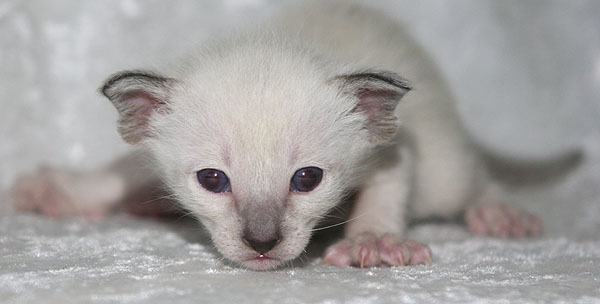 Photo: Carolin Skirl