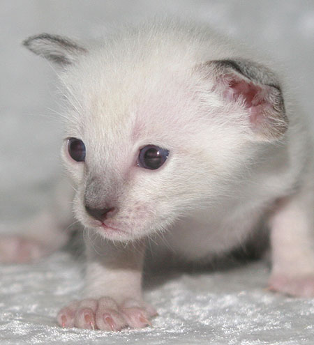 Photo: Carolin Skirl