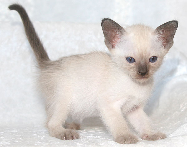 Photo: Carolin Skirl