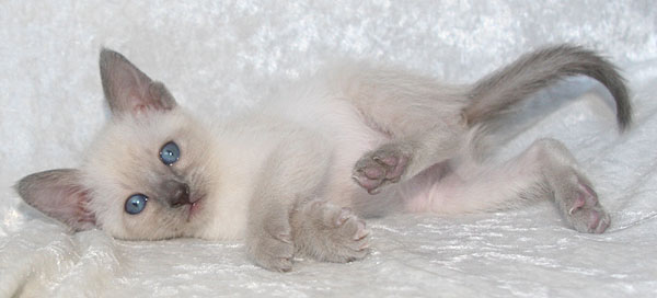 Photo: Carolin Skirl