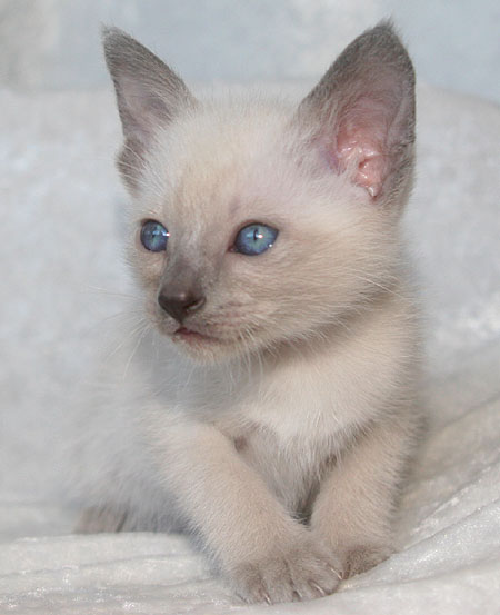 Photo: Carolin Skirl