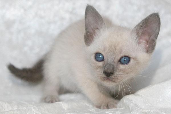 Photo: Carolin Skirl