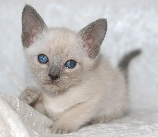 Photo: Carolin Skirl