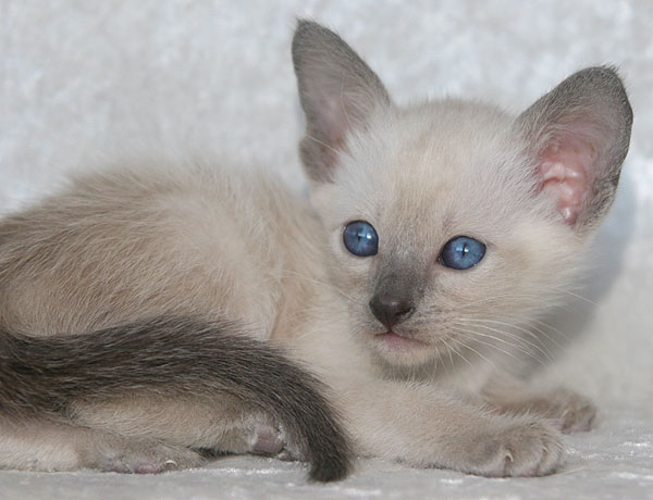 Photo: Carolin Skirl