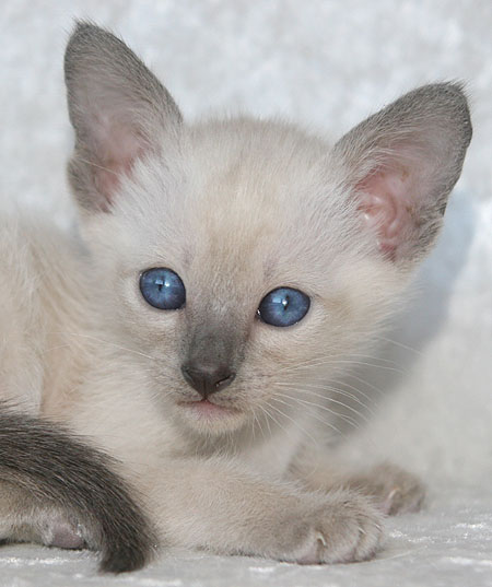 Photo: Carolin Skirl