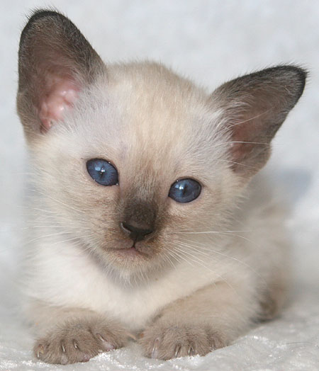 Photo: Carolin Skirl