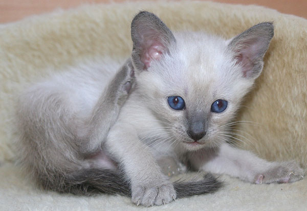 Photo: Carolin Skirl