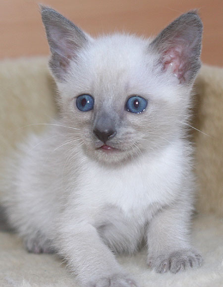 Photo: Carolin Skirl