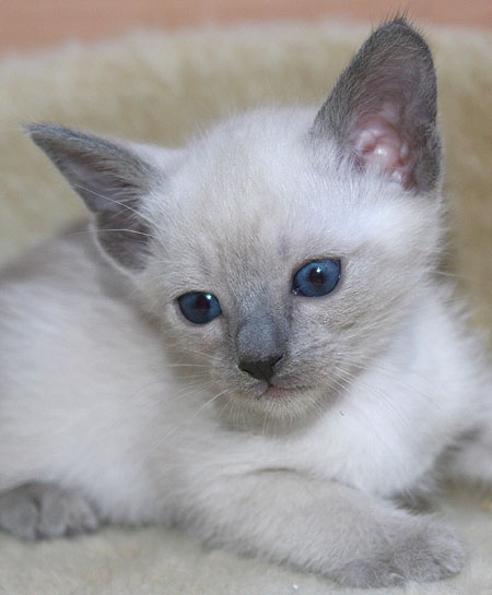 Photo: Carolin Skirl