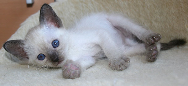 Photo: Carolin Skirl