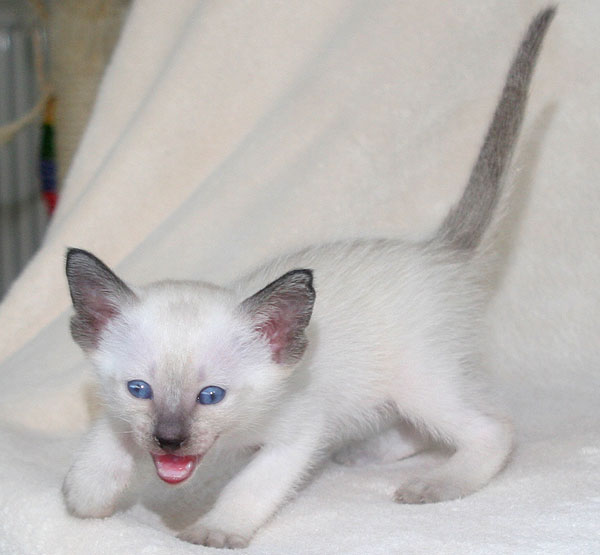 Photo: Carolin Skirl