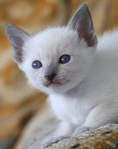 Photo: Carolin Skirl