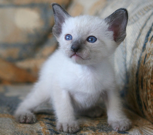 Photo: Carolin Skirl