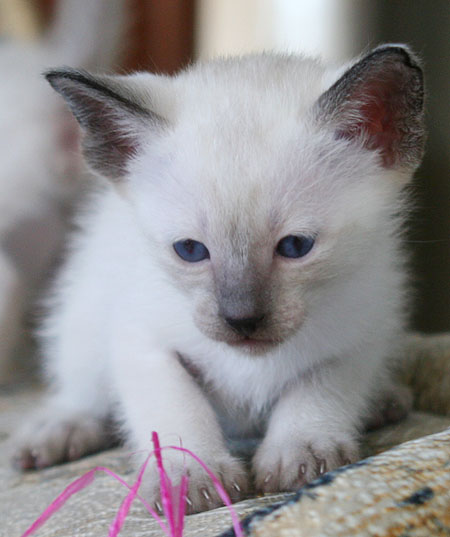 Photo: Carolin Skirl