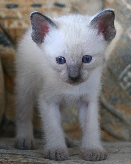 Photo: Carolin Skirl