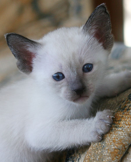 Photo: Carolin Skirl