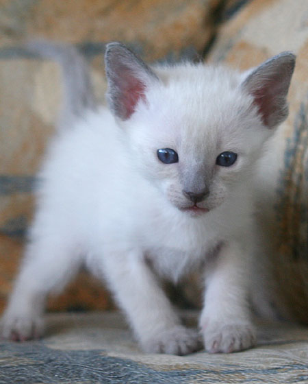 Photo: Carolin Skirl