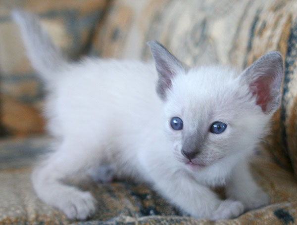 Photo: Carolin Skirl