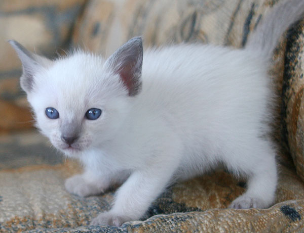 Photo: Carolin Skirl