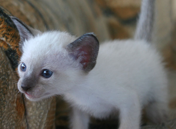 Photo: Carolin Skirl