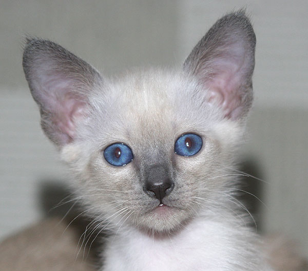 Photo: Carolin Skirl