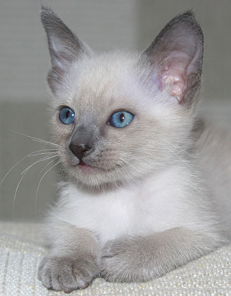 Photo: Carolin Skirl