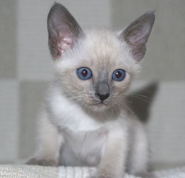 Photo: Carolin Skirl