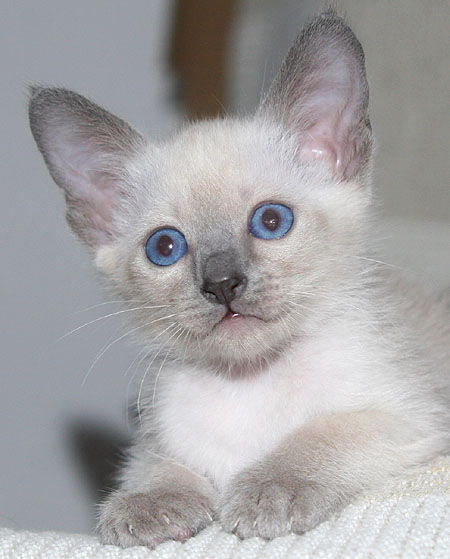 Photo: Carolin Skirl