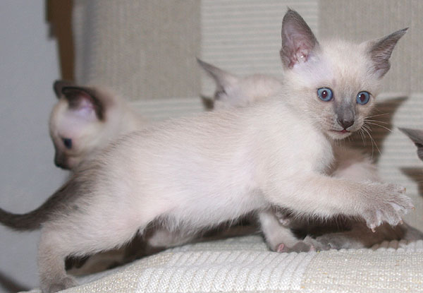 Photo: Carolin Skirl