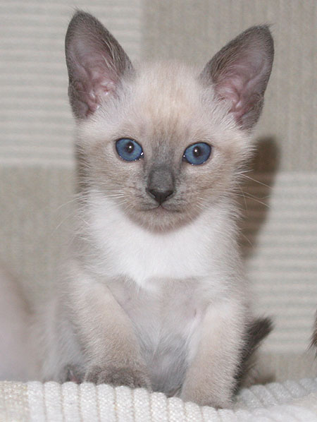 Photo: Carolin Skirl