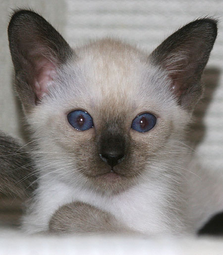 Photo: Carolin Skirl