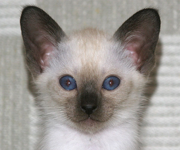 Photo: Carolin Skirl