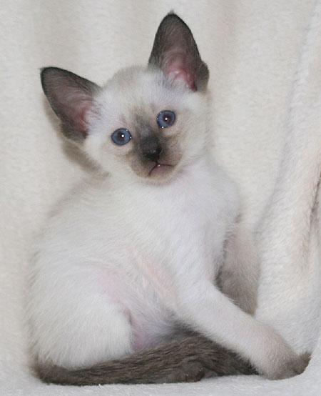 Photo: Carolin Skirl