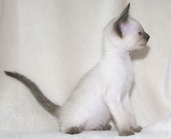 Photo: Carolin Skirl