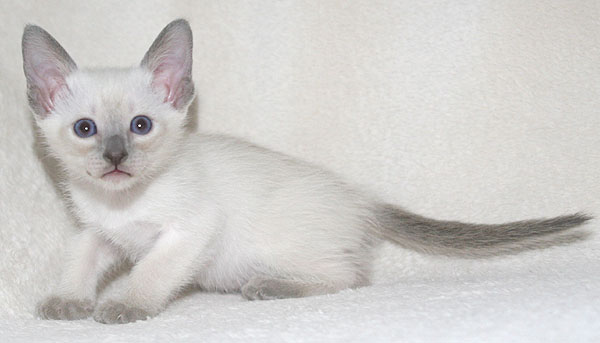 Photo: Carolin Skirl